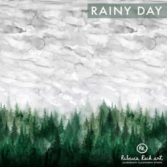 BIO Sommersweat "Rainy Day" (French Terry)