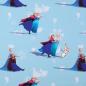 Preview: Baumwolljersey Frozen (hellblau)